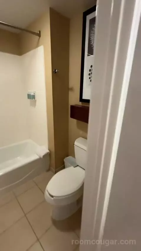 1 Bedroom Suite 2 Double, Sofa Bed (#300) bathroom picture #2