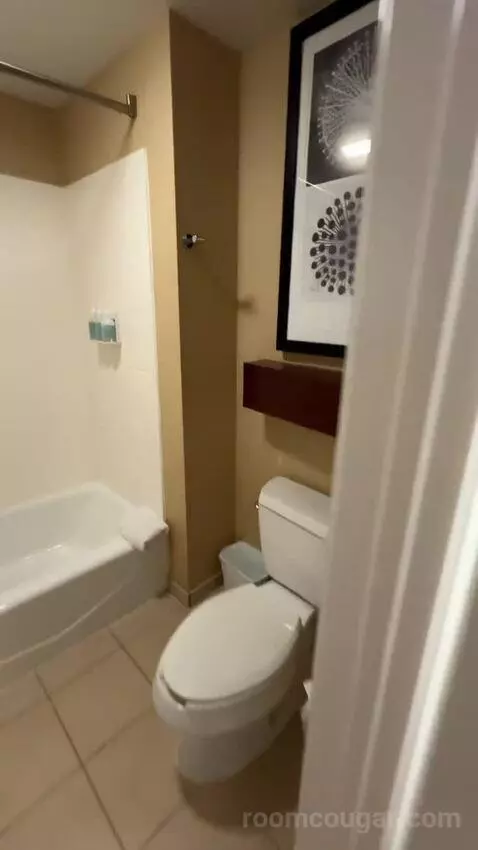 1 Bedroom Suite 2 Double, Sofa Bed (#300) bathroom picture #3