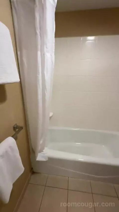 1 Bedroom Suite 2 Double, Sofa Bed (#300) bathroom picture #5
