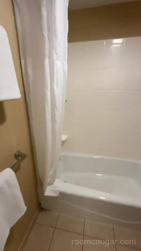 1 Bedroom Suite 2 Double, Sofa Bed (#300) bathroom picture #6