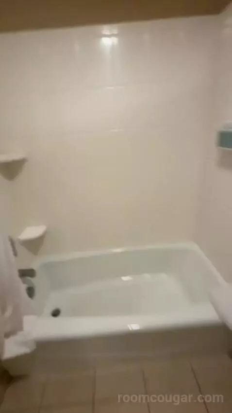1 Bedroom Suite 2 Double, Sofa Bed (#300) bathroom picture #8