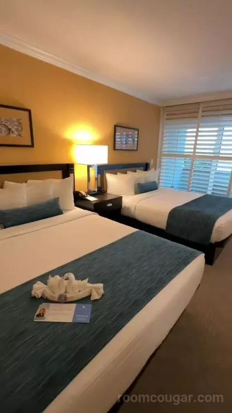 Queen Room with Two Queen Beds (#147) bed picture #5