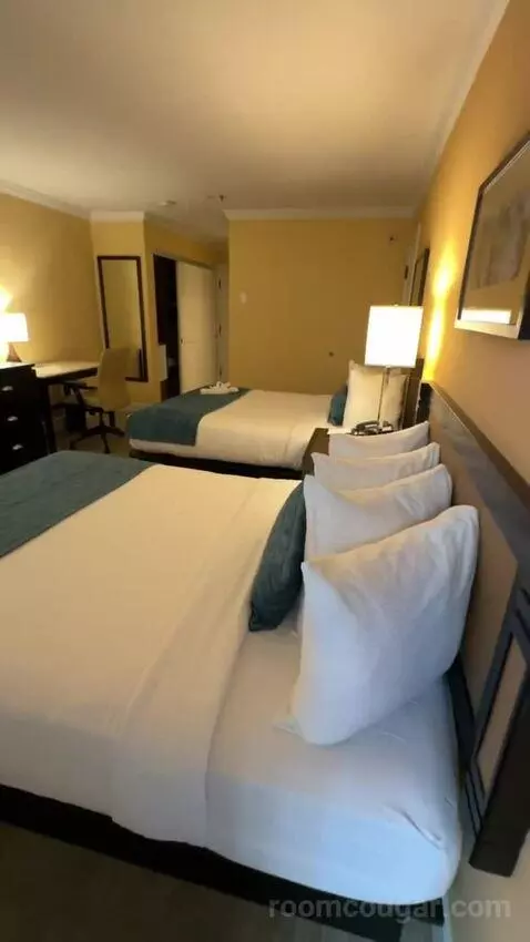 Queen Room with Two Queen Beds (#147) bed picture #8