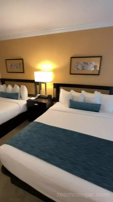 Queen Room with Two Queen Beds (#147) bed picture #11