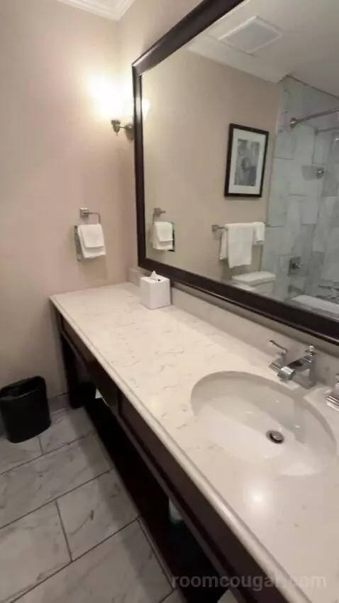 Queen Room with Two Queen Beds (#147) bathroom picture #11