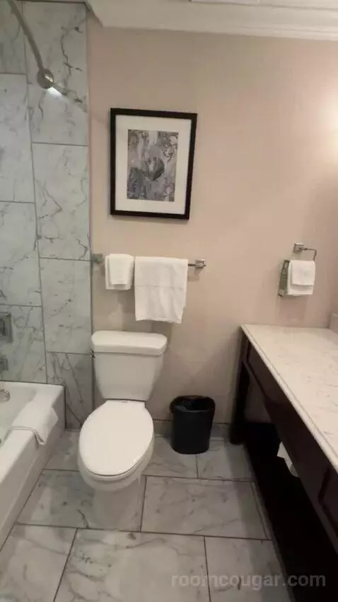 Queen Room with Two Queen Beds (#147) bathroom picture #3