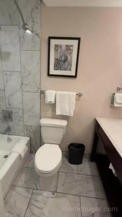 Queen Room with Two Queen Beds (#147) bathroom picture #4