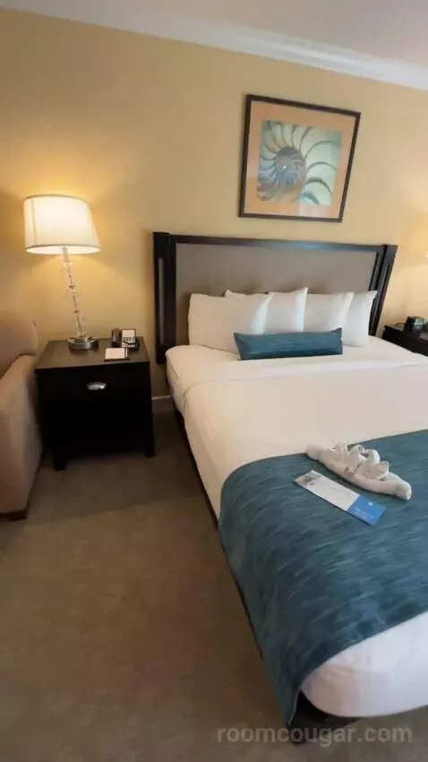 King Ocean View (#367) bed picture #1