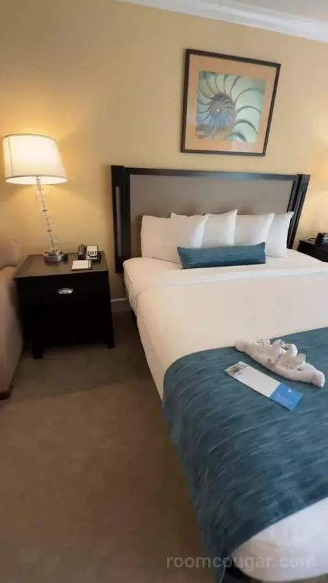 King Ocean View (#367) bed picture #2