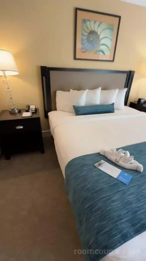 King Ocean View (#367) bed picture #3