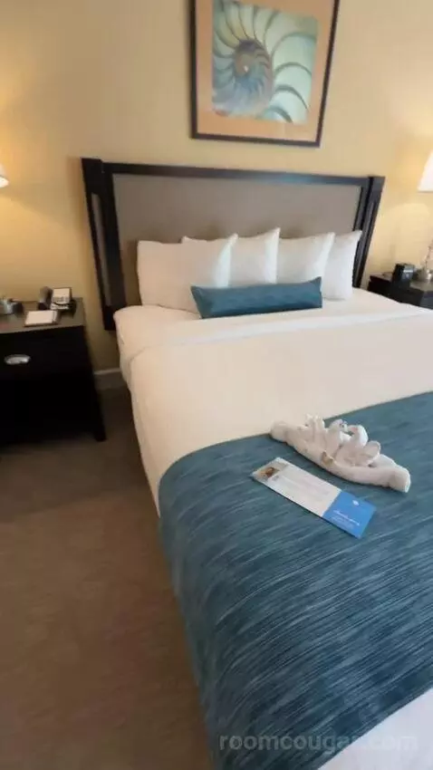 King Ocean View (#367) bed picture #4