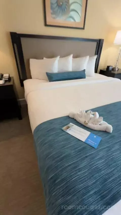King Ocean View (#367) bed picture #5