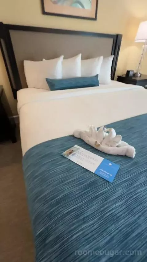 King Ocean View (#367) bed picture #6