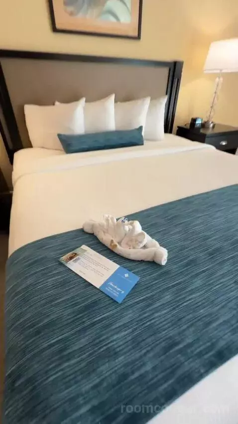King Ocean View (#367) bed picture #9