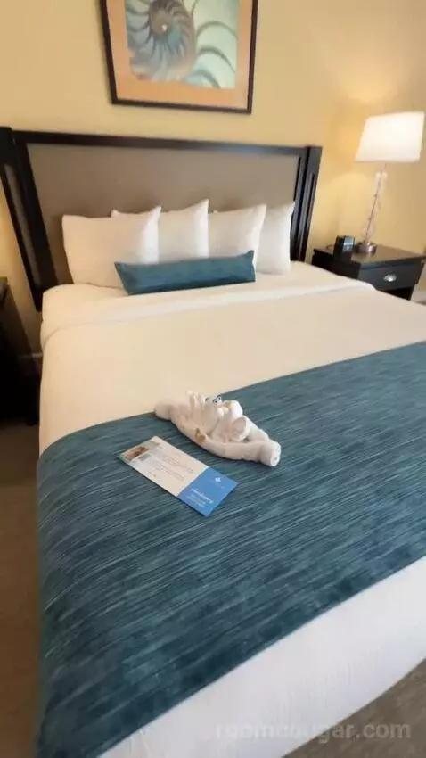 King Ocean View (#367) bed picture #10