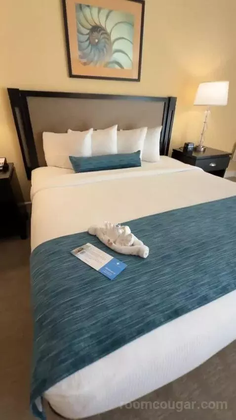 King Ocean View (#367) bed picture #11