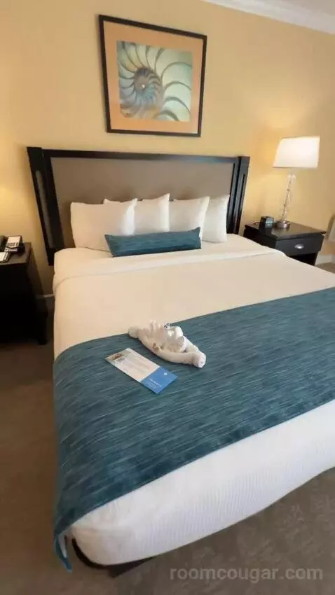 King Ocean View (#367) bed picture #12