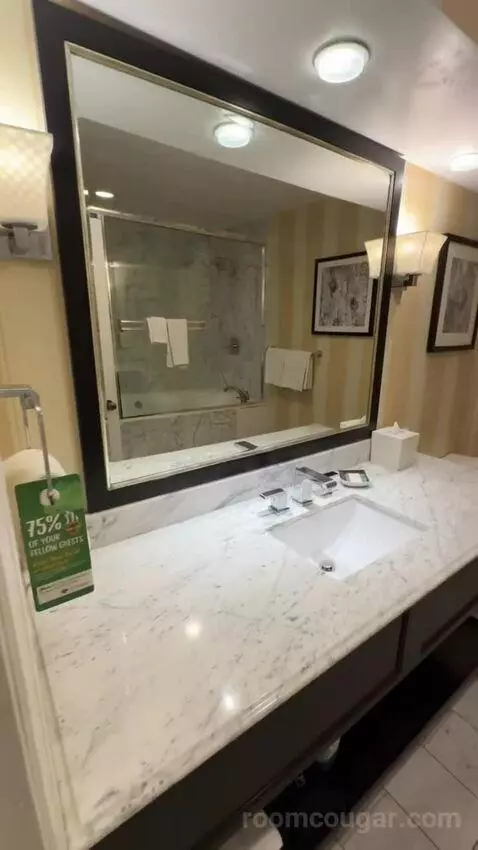 King Ocean View (#367) bathroom picture #1