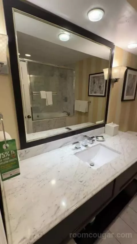 King Ocean View (#367) bathroom picture #2