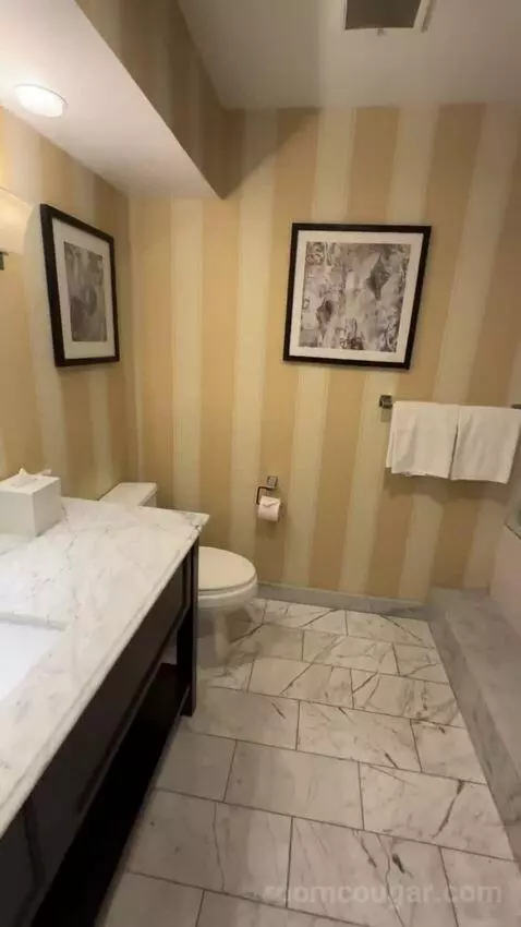 King Ocean View (#367) bathroom picture #3