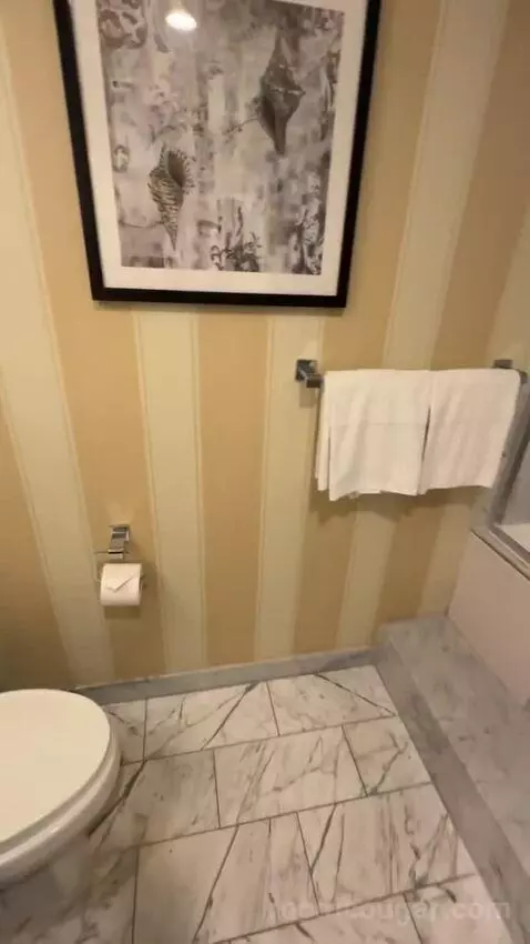 King Ocean View (#367) bathroom picture #5