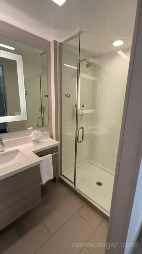 King, Trundle Bed, Ocean View, Balcony (#243) bathroom picture #2