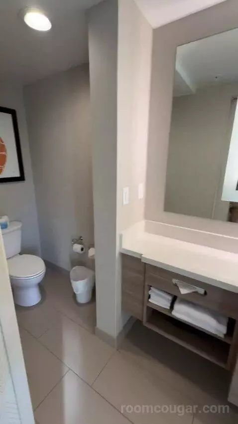 King, Trundle Bed, Ocean View, Balcony (#243) bathroom picture #4
