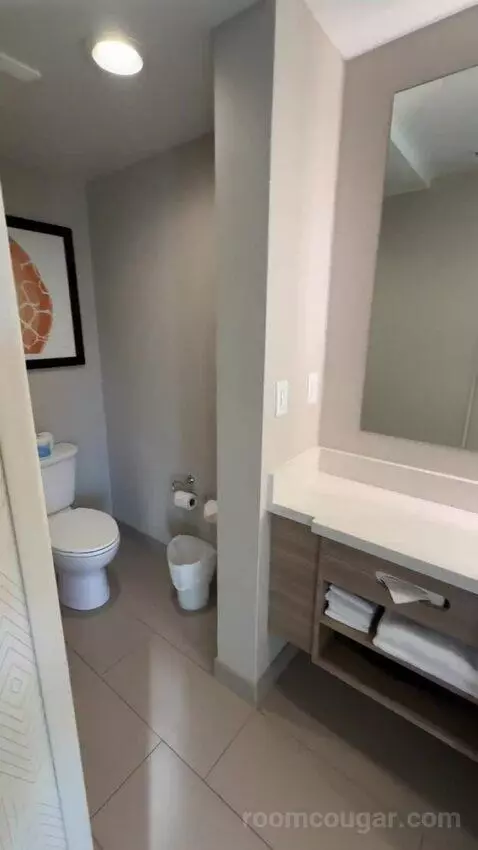 King, Trundle Bed, Ocean View, Balcony (#243) bathroom picture #5