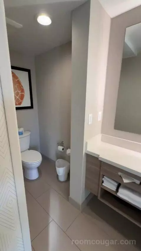 King, Trundle Bed, Ocean View, Balcony (#243) bathroom picture #6