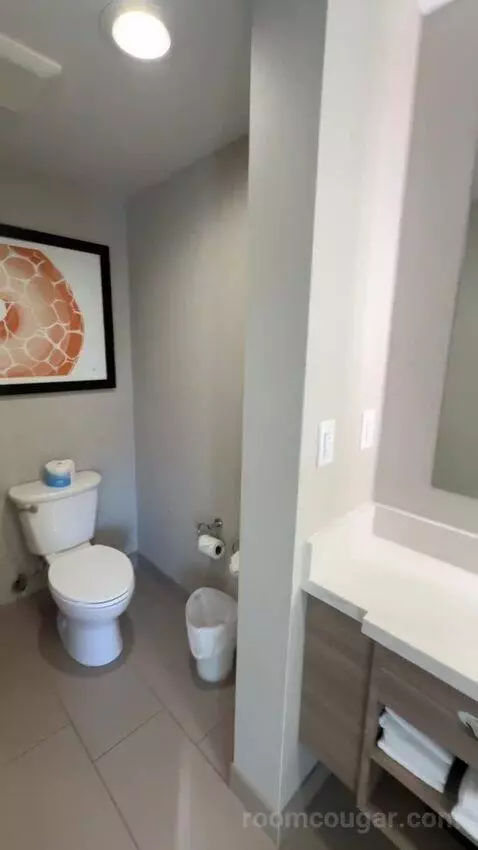 King, Trundle Bed, Ocean View, Balcony (#243) bathroom picture #8