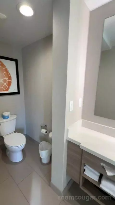 King, Trundle Bed, Ocean View, Balcony (#243) bathroom picture #9