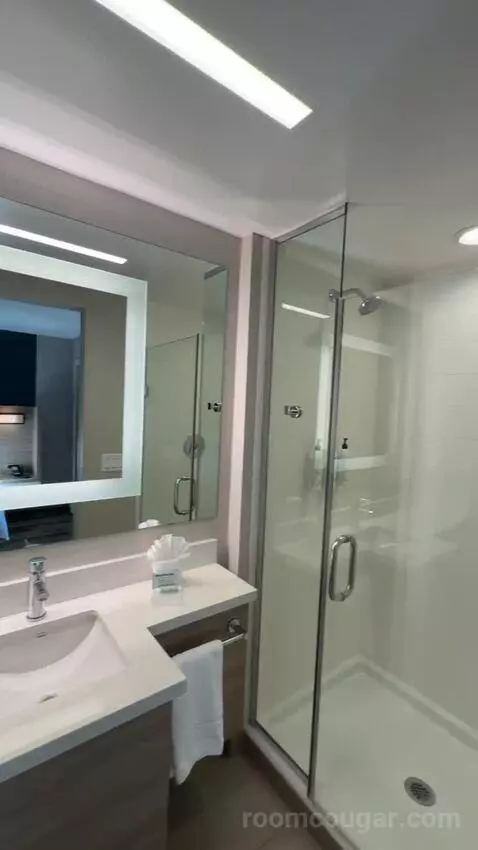 King, Trundle Bed, Ocean View, Balcony (#243) bathroom picture #11