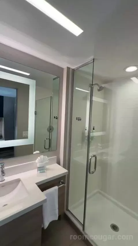 King, Trundle Bed, Ocean View, Balcony (#243) bathroom picture #12