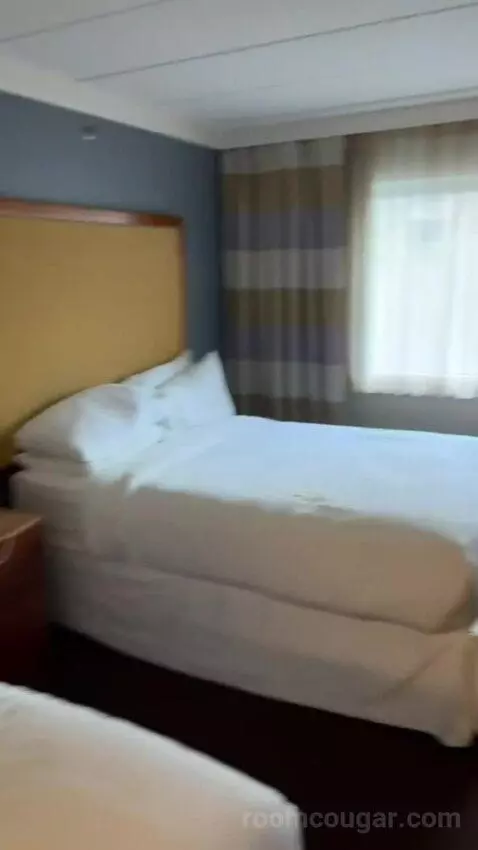 Guest Room, 2 Queen bed picture #5