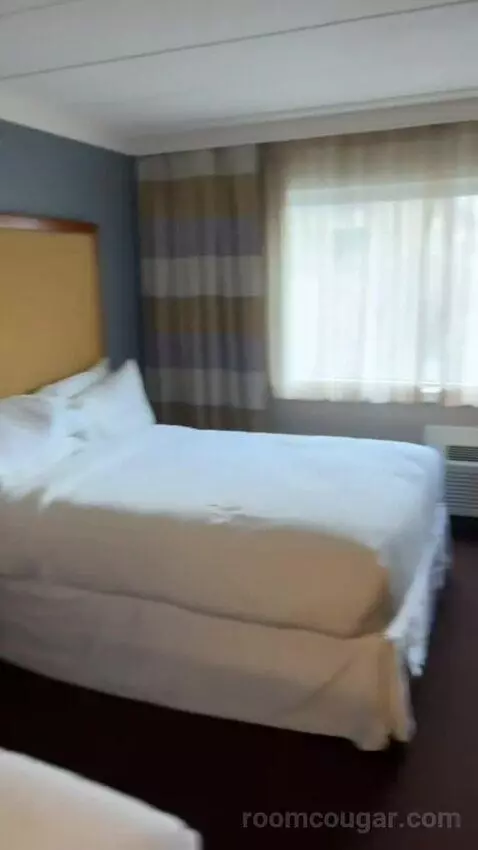 Guest Room, 2 Queen bed picture #6
