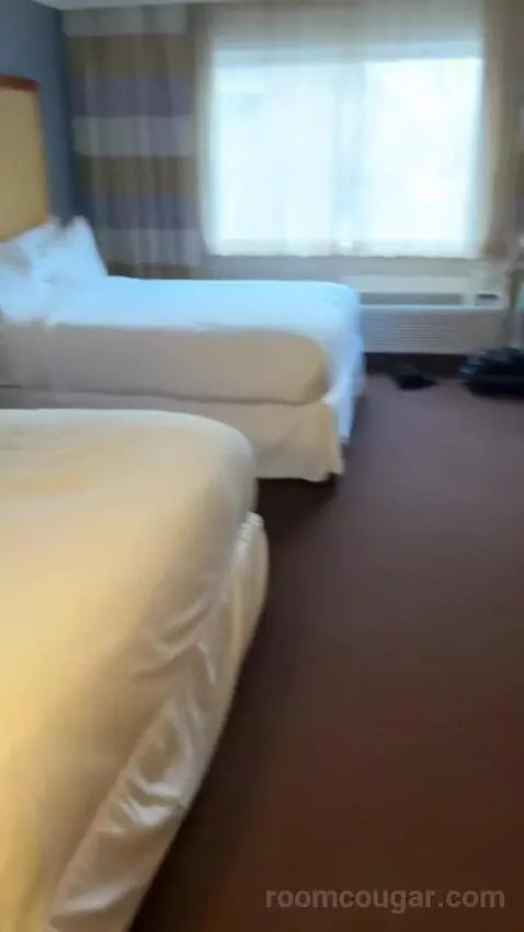 Guest Room, 2 Queen bed picture #2
