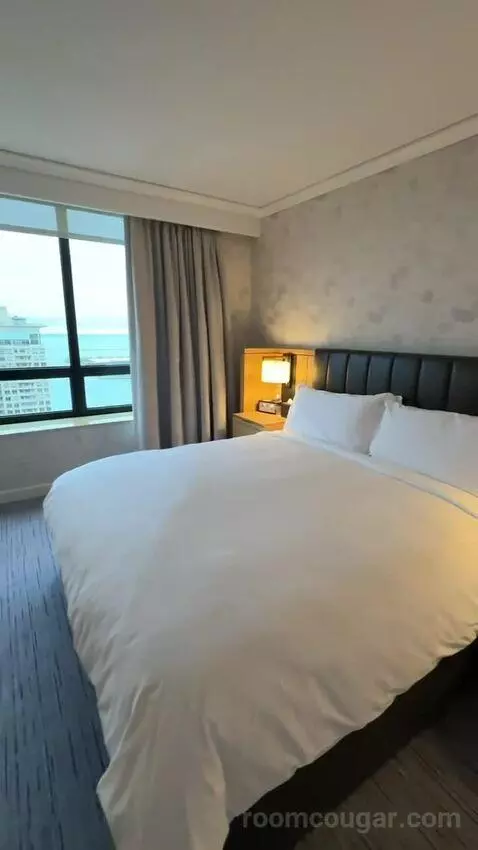 Lakeside Suite, 1 Bedroom Suite, 1 King, Sofa Bed, Lake Michigan View (#2907) bed picture #3