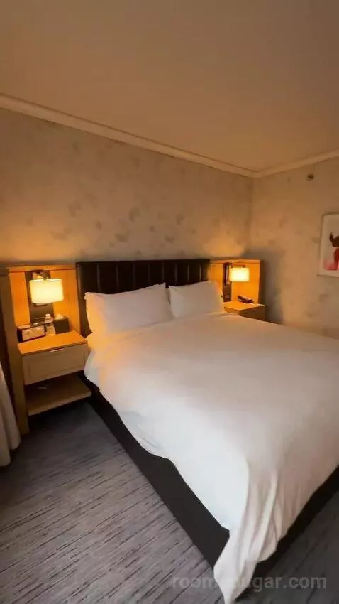 Lakeside Suite, 1 Bedroom Suite, 1 King, Sofa Bed, Lake Michigan View (#2907) bed picture #9