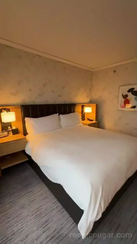 Lakeside Suite, 1 Bedroom Suite, 1 King, Sofa Bed, Lake Michigan View (#2907) bed picture #10