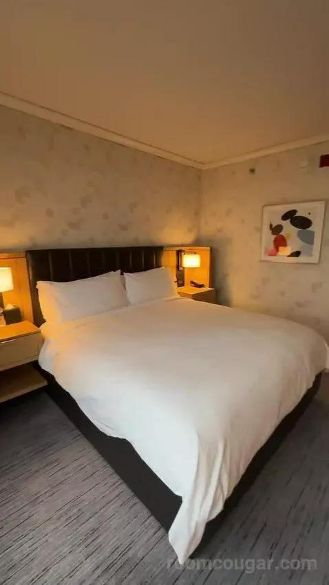 Lakeside Suite, 1 Bedroom Suite, 1 King, Sofa Bed, Lake Michigan View (#2907) bed picture #11