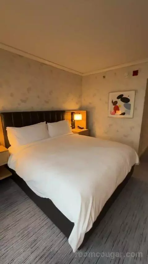 Lakeside Suite, 1 Bedroom Suite, 1 King, Sofa Bed, Lake Michigan View (#2907) bed picture #12