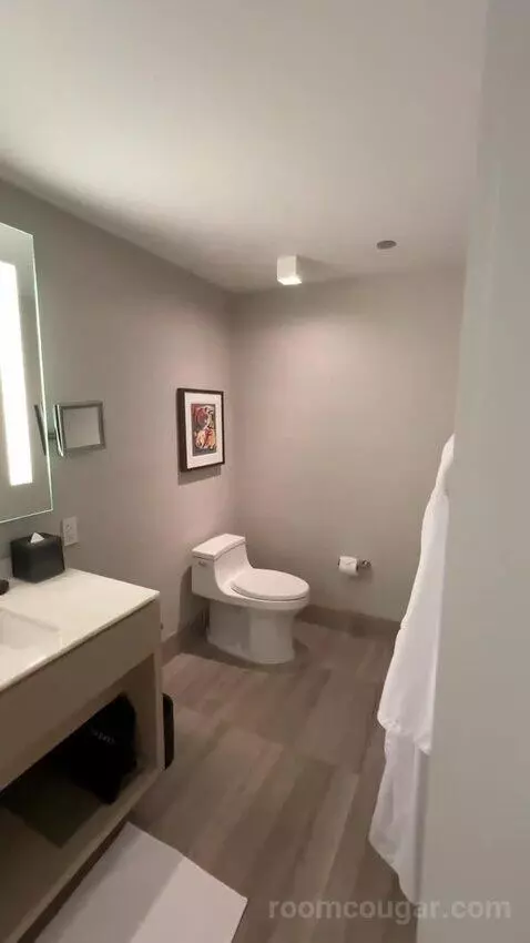 Lakeside Suite, 1 Bedroom Suite, 1 King, Sofa Bed, Lake Michigan View (#2907) bathroom picture #4