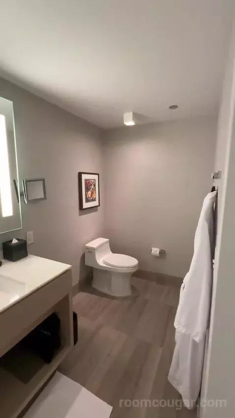 Lakeside Suite, 1 Bedroom Suite, 1 King, Sofa Bed, Lake Michigan View (#2907) bathroom picture #5