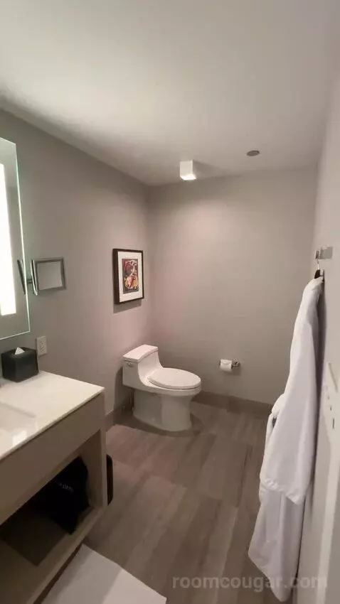 Lakeside Suite, 1 Bedroom Suite, 1 King, Sofa Bed, Lake Michigan View (#2907) bathroom picture #6