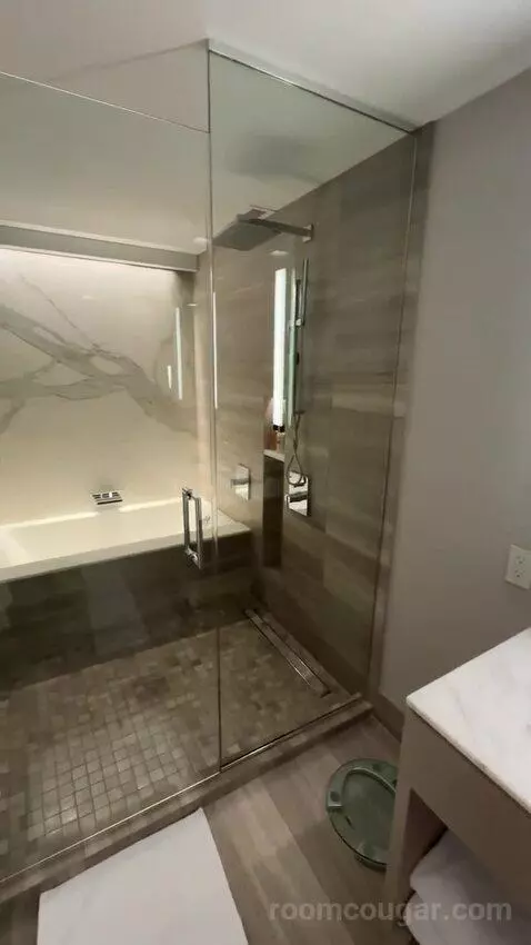 Lakeside Suite, 1 Bedroom Suite, 1 King, Sofa Bed, Lake Michigan View (#2907) bathroom picture #8