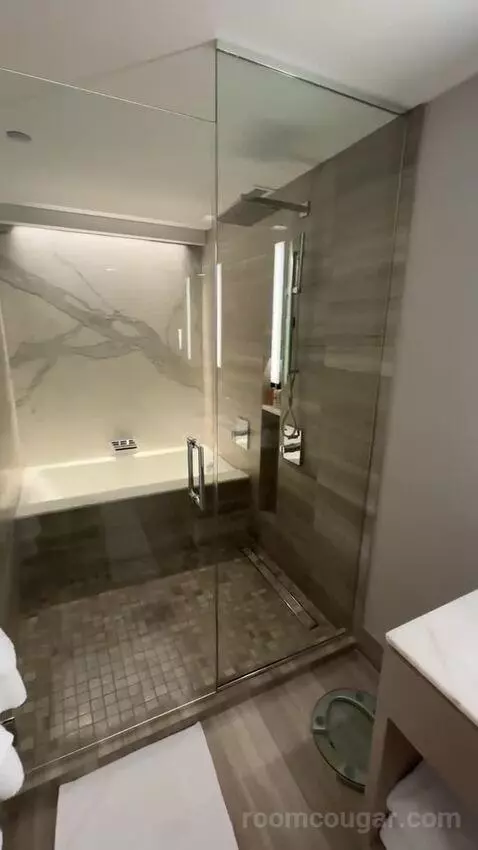 Lakeside Suite, 1 Bedroom Suite, 1 King, Sofa Bed, Lake Michigan View (#2907) bathroom picture #9