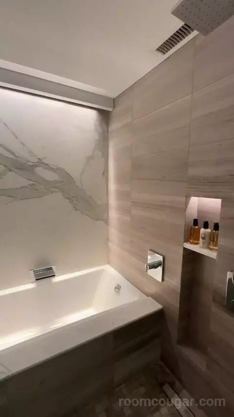 Lakeside Suite, 1 Bedroom Suite, 1 King, Sofa Bed, Lake Michigan View (#2907) bathroom picture #11
