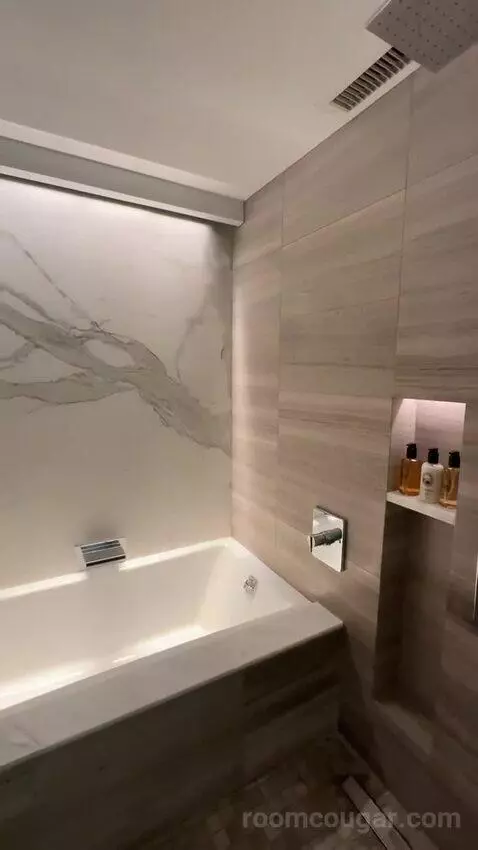 Lakeside Suite, 1 Bedroom Suite, 1 King, Sofa Bed, Lake Michigan View (#2907) bathroom picture #12