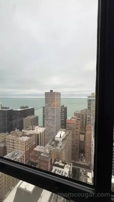 Lakeside Suite, 1 Bedroom Suite, 1 King, Sofa Bed, Lake Michigan View (#2907) view picture #4