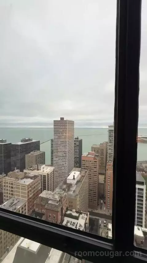 Lakeside Suite, 1 Bedroom Suite, 1 King, Sofa Bed, Lake Michigan View (#2907) view picture #5